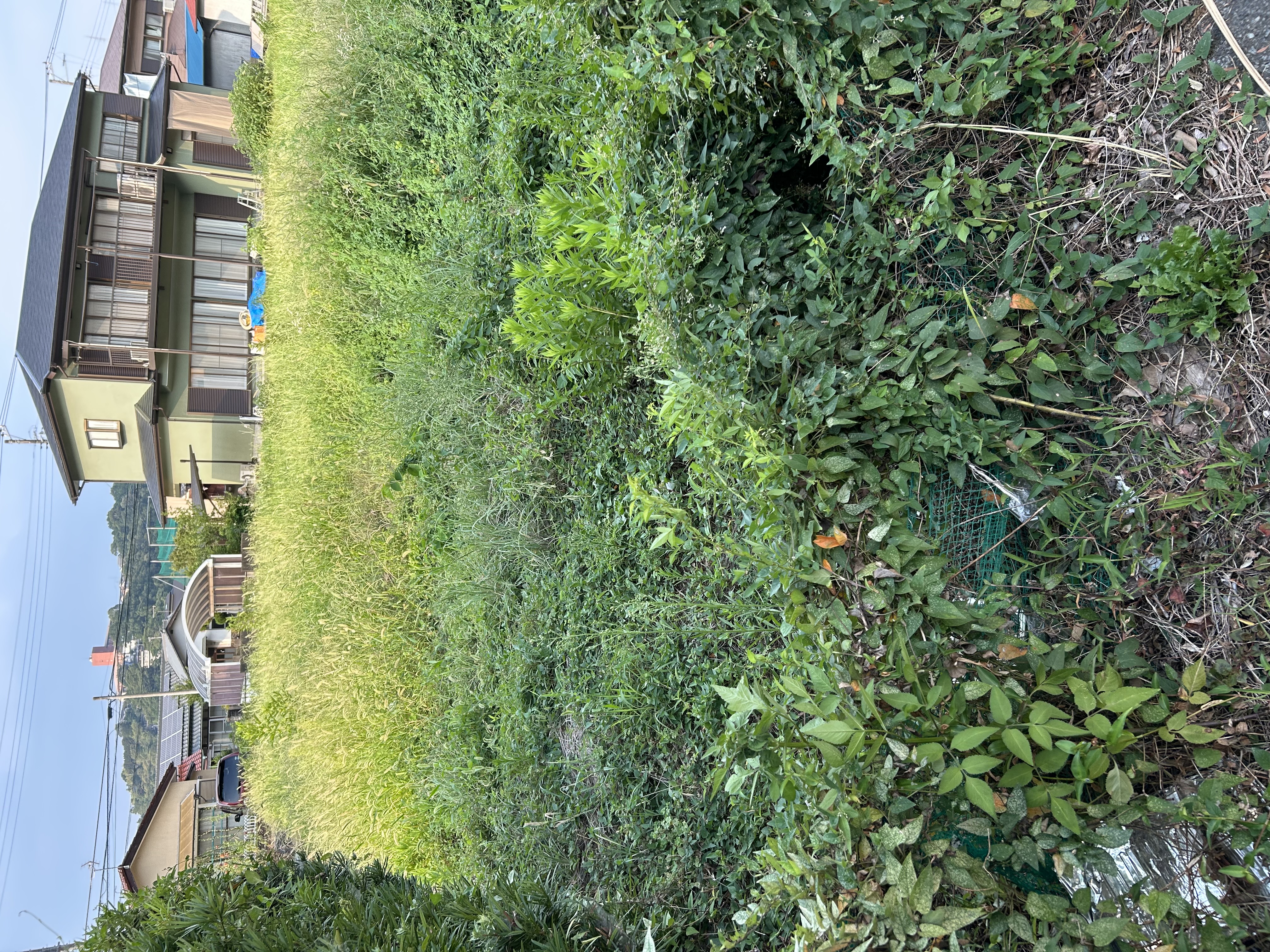 売土地　伊豆市熊坂